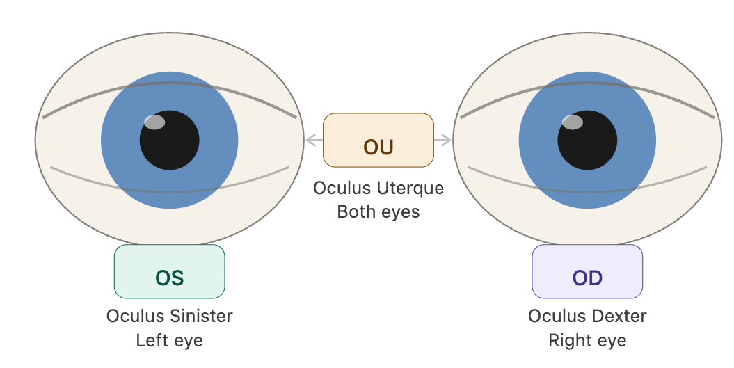 How to Read Your Eyeglass Prescription?